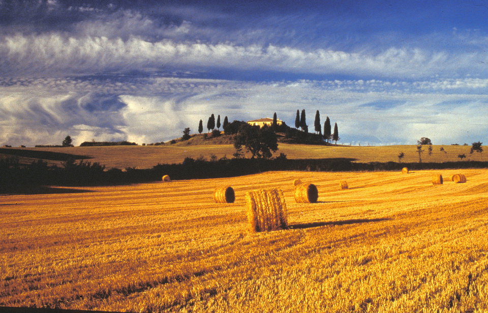 Top Fall Tours to Explore Tuscany