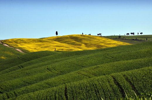 Val d'Orcia