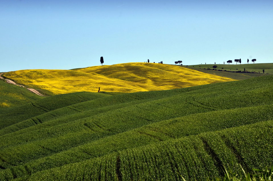 Val d'Orcia