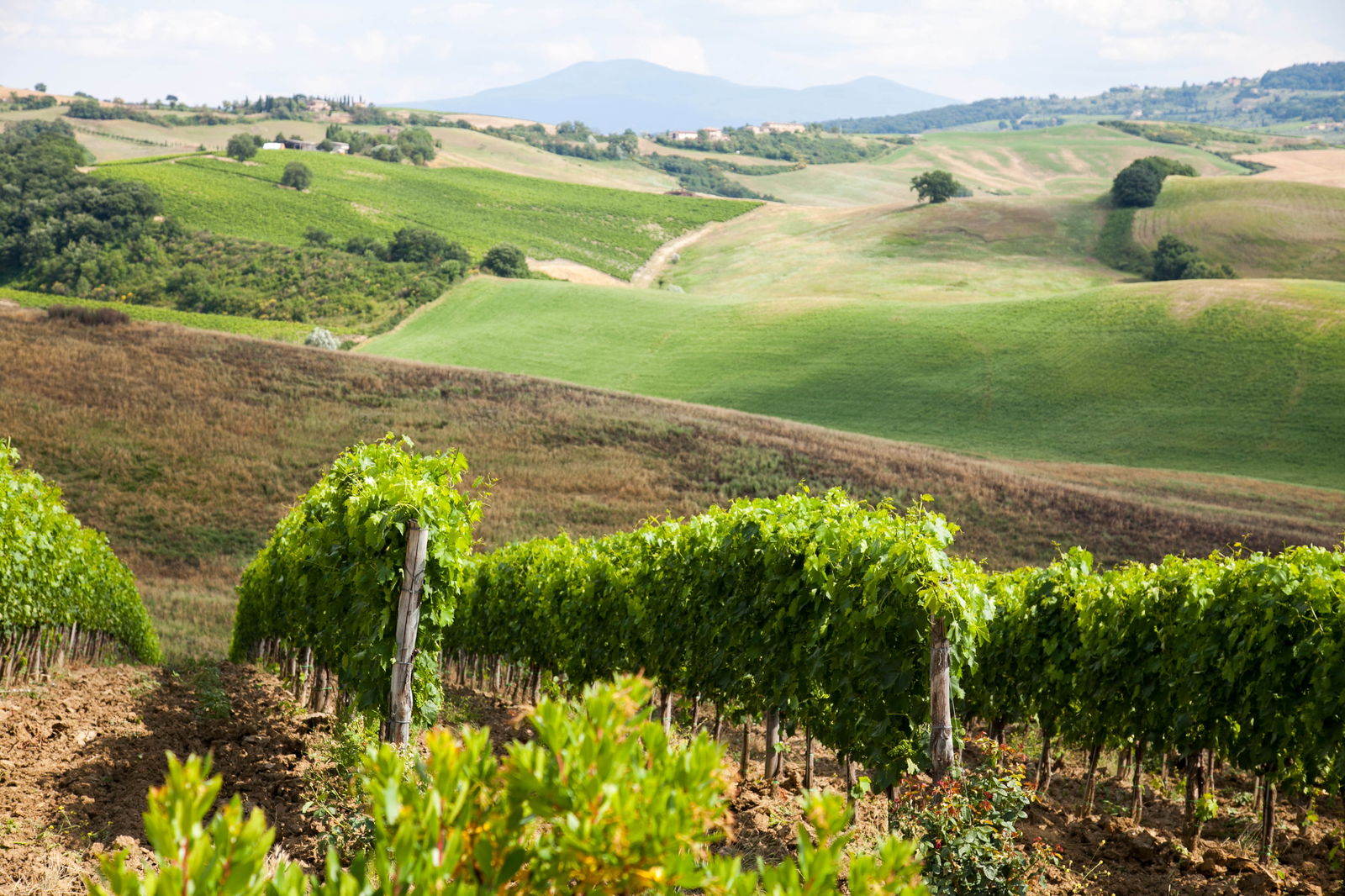 Panoramic views from your Tuscan villa rental
