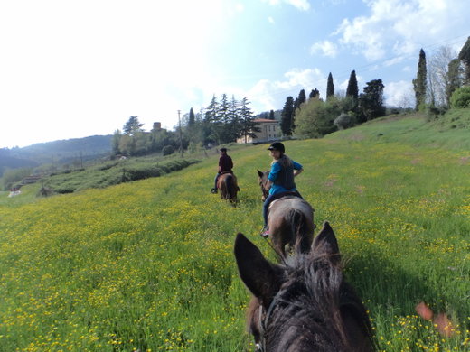 Horseback Riding in Lucca for Kids and Adults