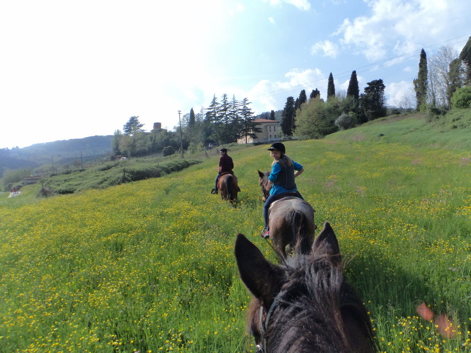 Horseback Riding in Lucca for Kids and Adults