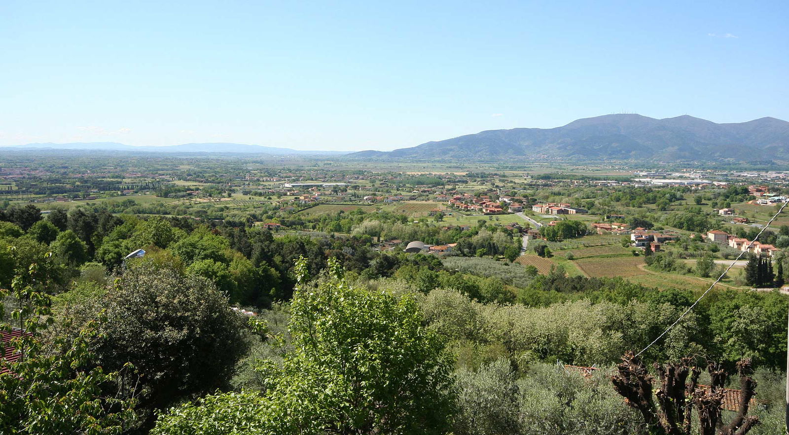 The valley and mountains near Montecarlo and Lucca
