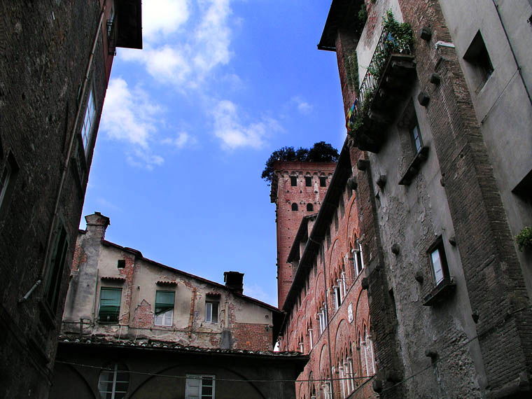 Torre Guinigi