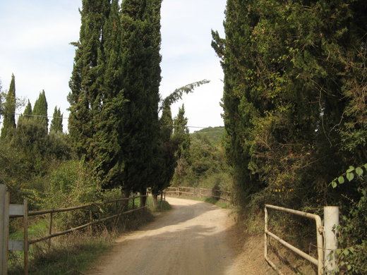 Tourist Info
