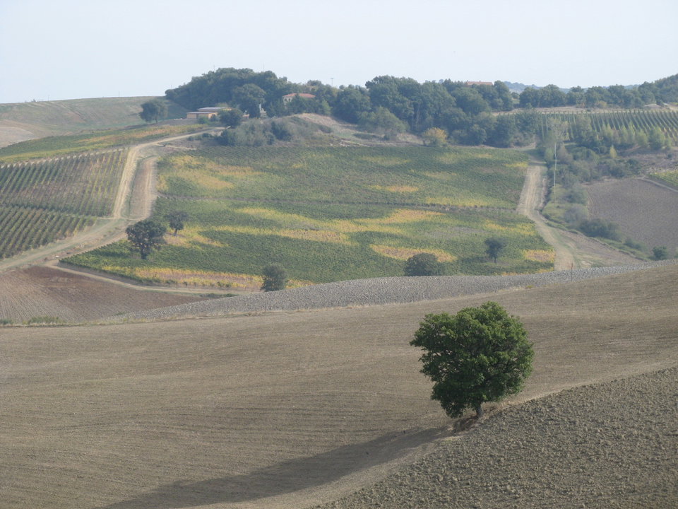 How to Get to Maremma