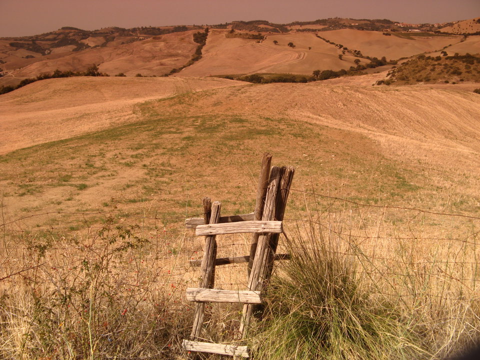 Highlights in the Maremma