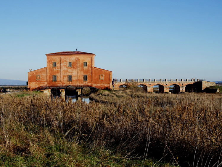 Nature Reserve Diaccia Botrona diaccia botrona in maremma