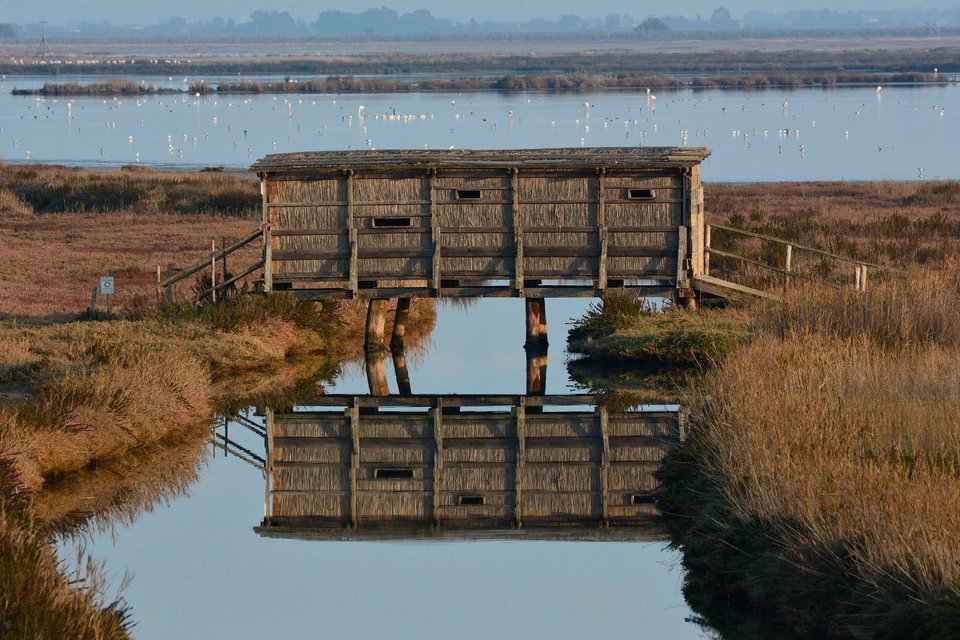 The nature reserve of Diaccia Botrona