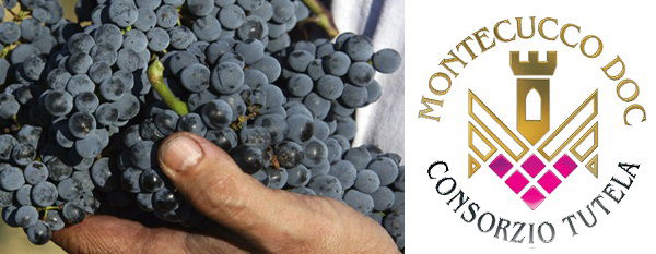 The wines of Montecucco DOC