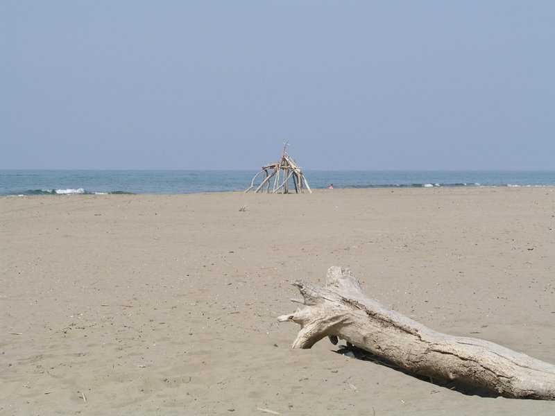 Sandy beaches in the Maremma