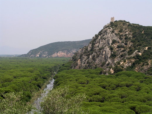 The hills and sea of the Maremma Park