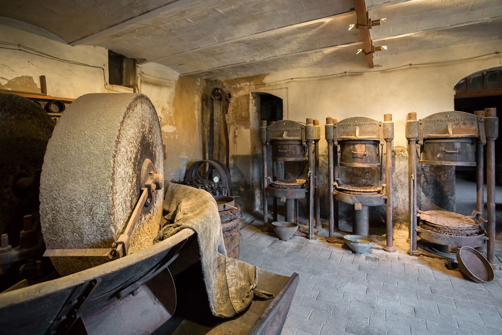 Pressing the olive oil in Seggiano on the Montecucco Wine Road