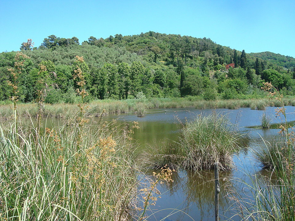 Massaciuccoli: a nature walk for all ages