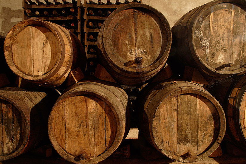 Villa Sant Anna Vino Nobile vineyards in Montepulciano
