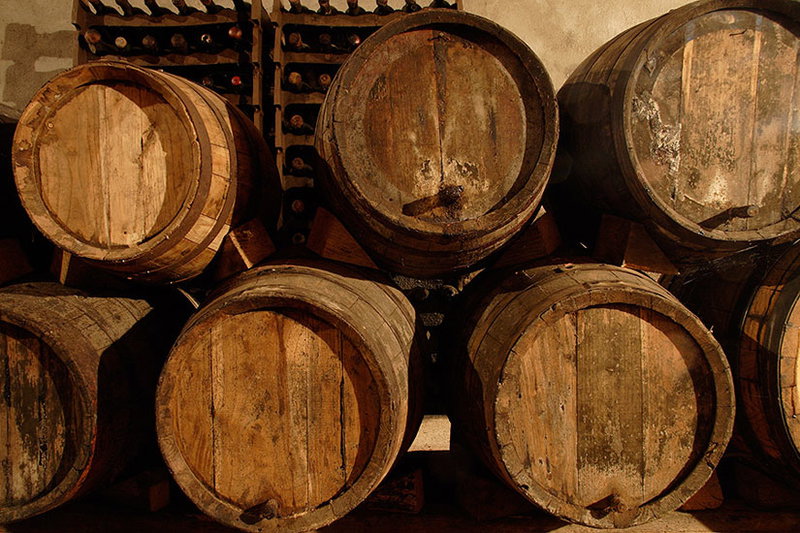 Villa Sant Anna Vino Nobile vineyards in Montepulciano