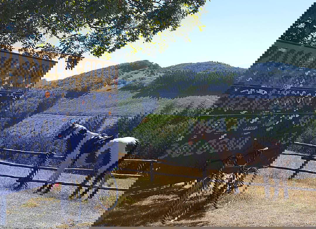 Mugello in sports