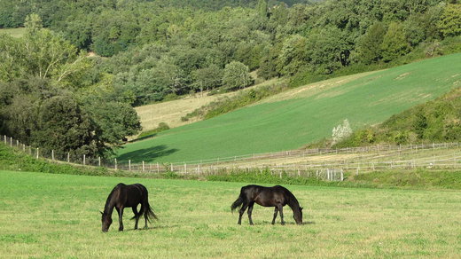All Mugello Accommodations