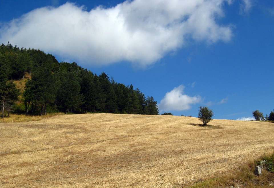 Mugello: Why You Want to Vacation Here