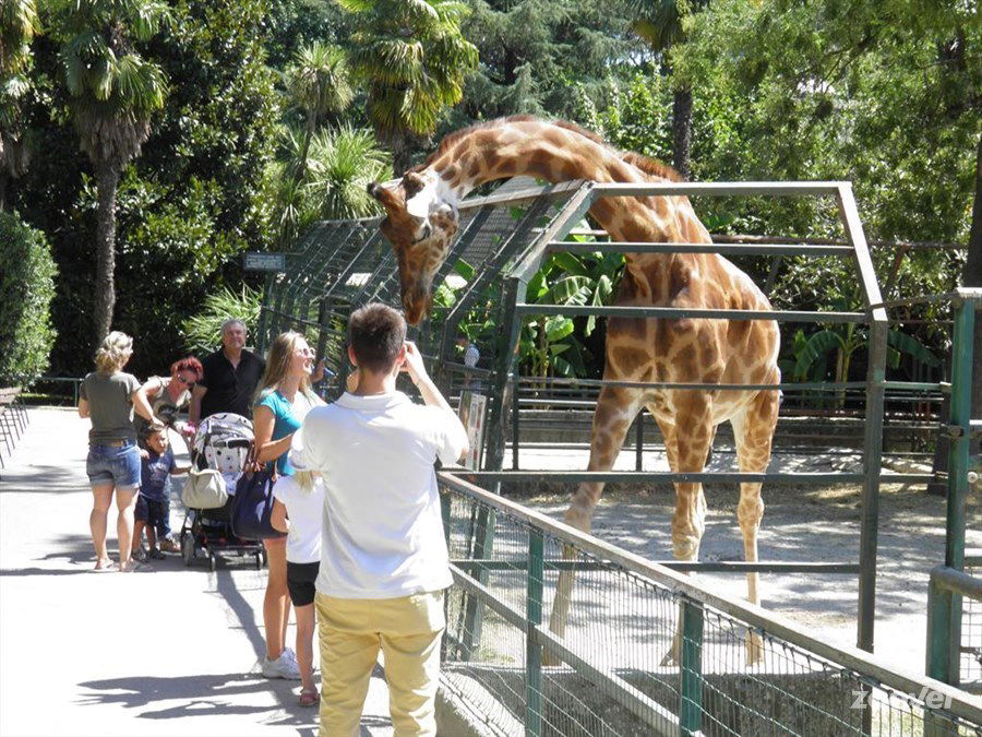 Giardino Zoologico