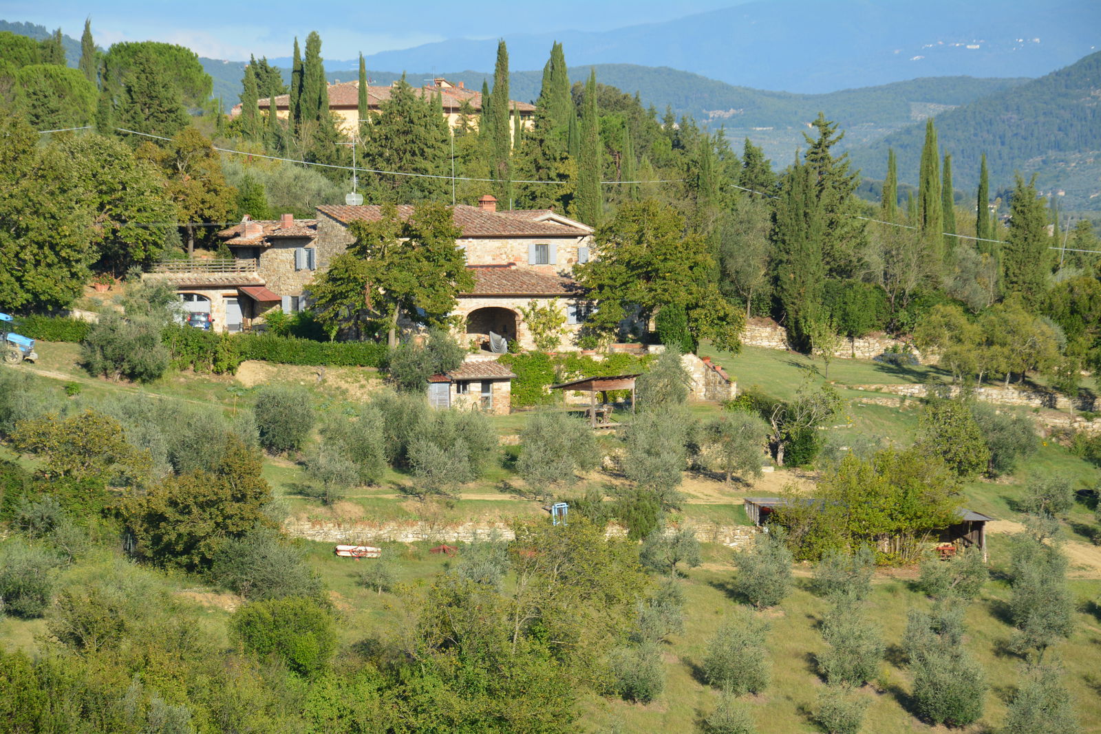 Green gardens and swimming pool at Agricola Poderino