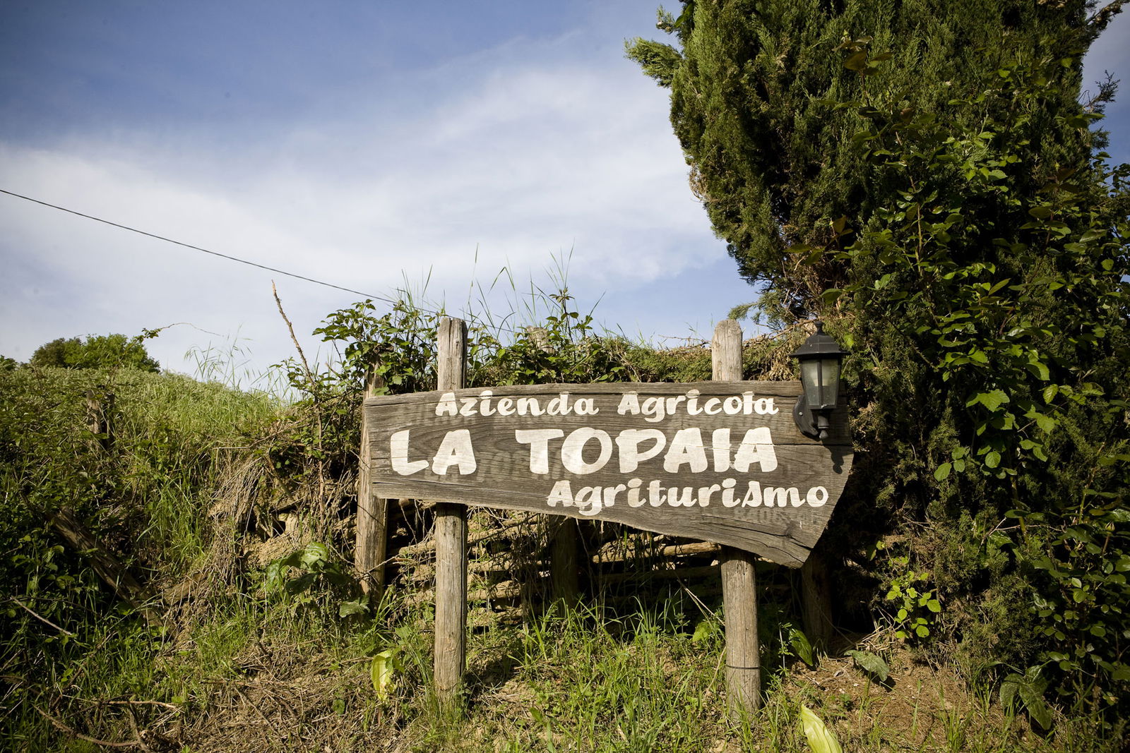 Agriturismo La Topaia in Mugello with swimming pool