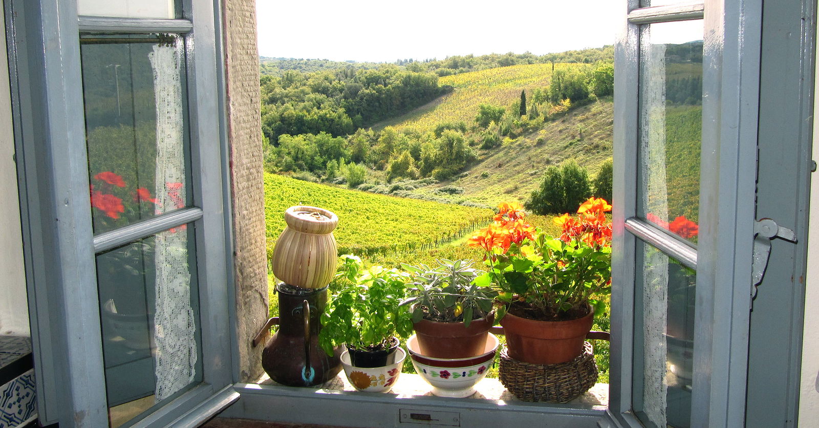 Panorama sul Chianti da Borgo Argenina