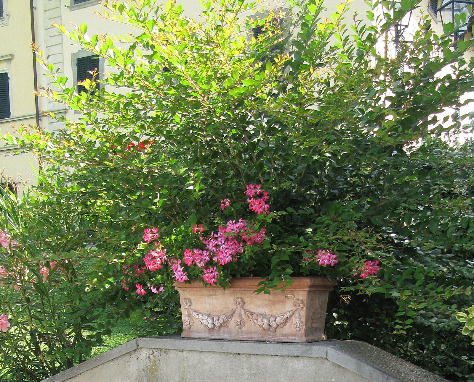 Agriturismo Fattoria i Ricci in Mugello Holiday Accommodations