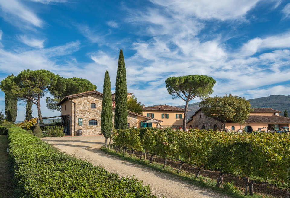 Viticcio: Enjoy staying in the heart of a Tuscan wine estate