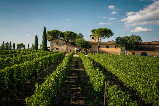Viticcio: Enjoy staying in the heart of a Tuscan wine estate