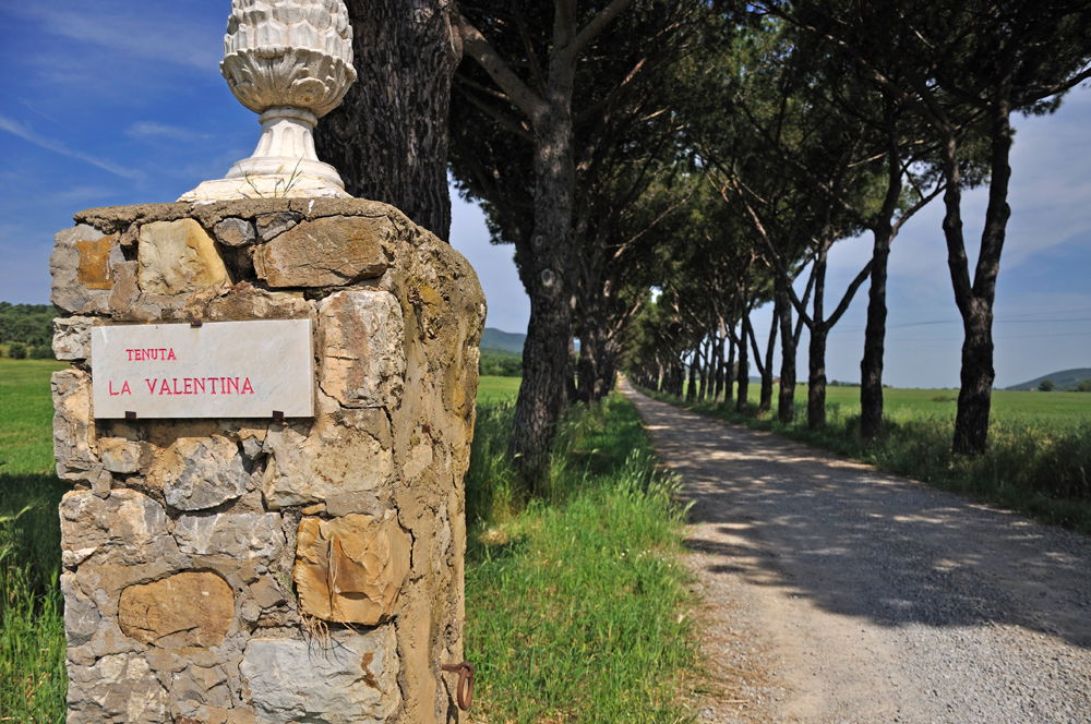 Valentina Nuova: giardini mediterranei a due passi dalle spiagge toscane