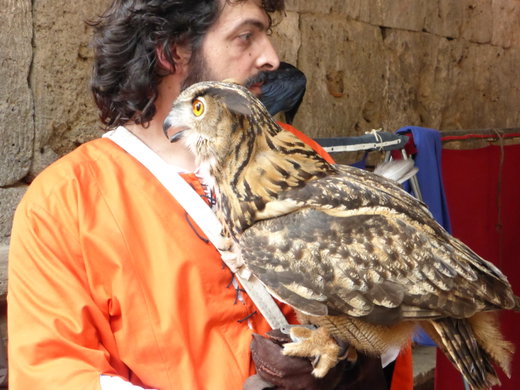 The Ferie delle Messi Medieval Harvest Festival