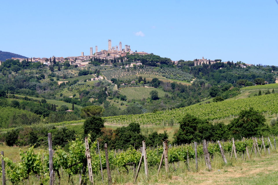 Vernaccia of San Gimignano