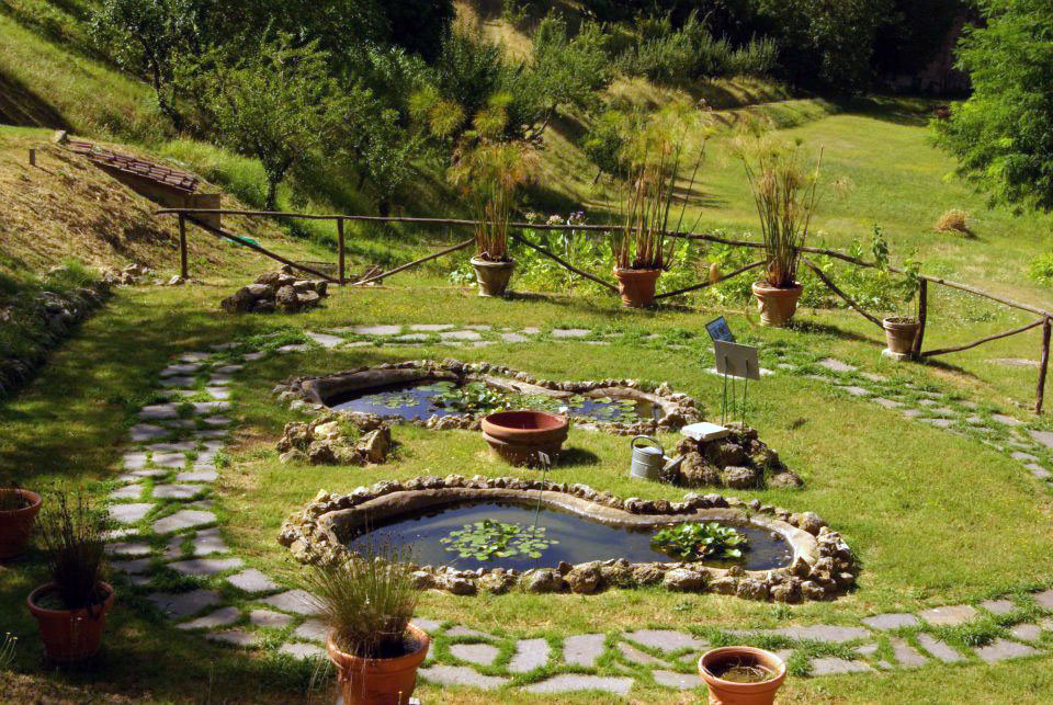 The Botanical Garden and Herbarium in Siena