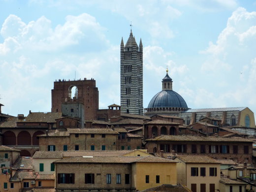 All Siena Hotels with Online Booking