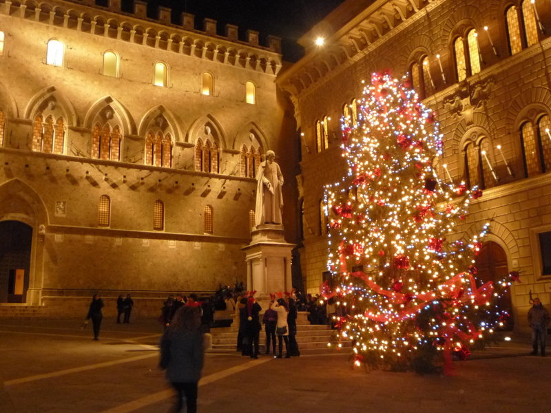 Chrsitmas trees and decorations in Siena