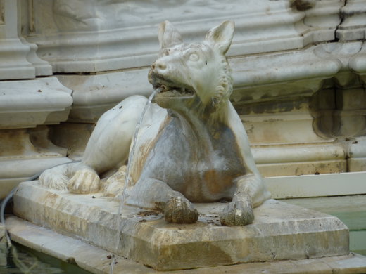 What to Do in Siena