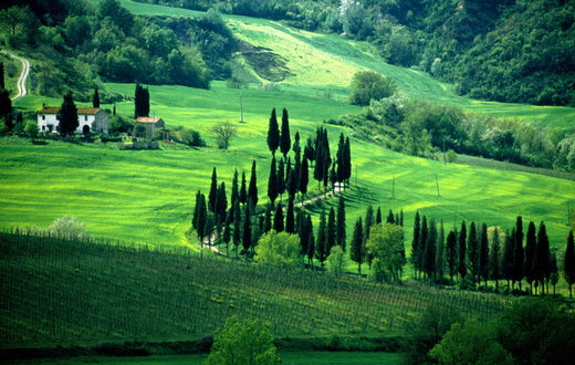 Weather in Tuscany: the Best Time to Visit Tuscany