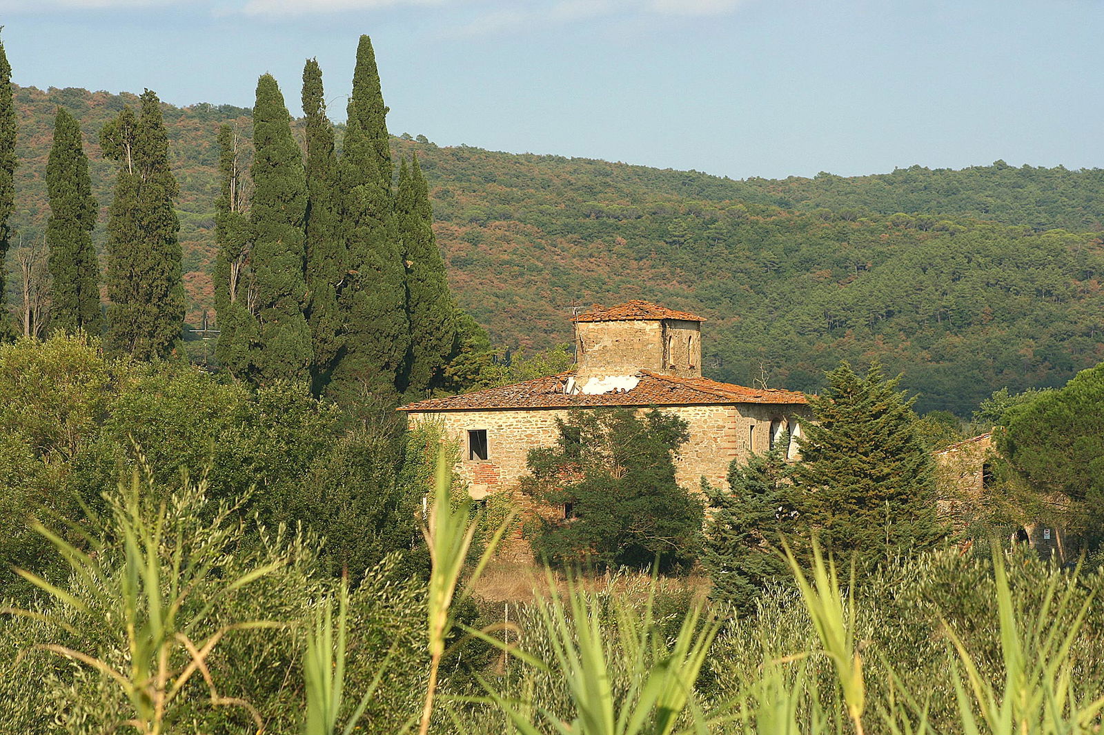 Typical Casa Leopoldina
