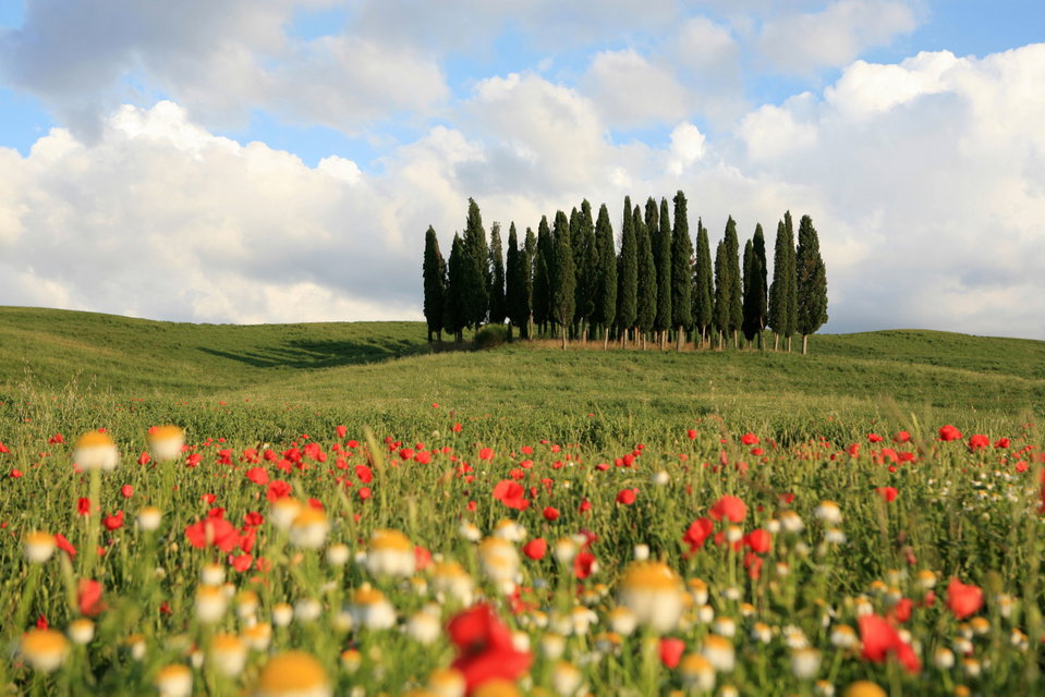 24 hours in Val d'Orcia