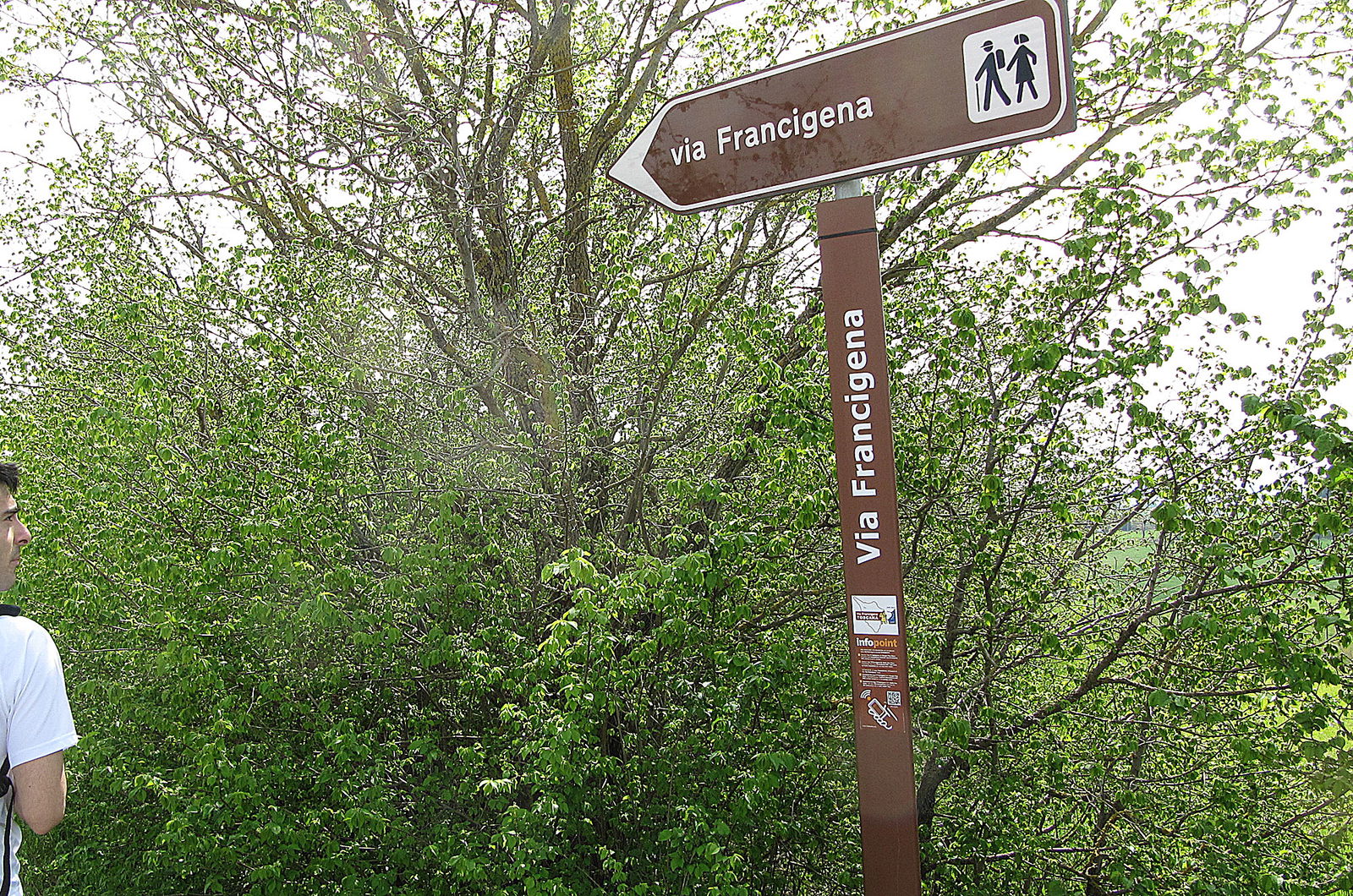 More signs in Siena for the via Francigena