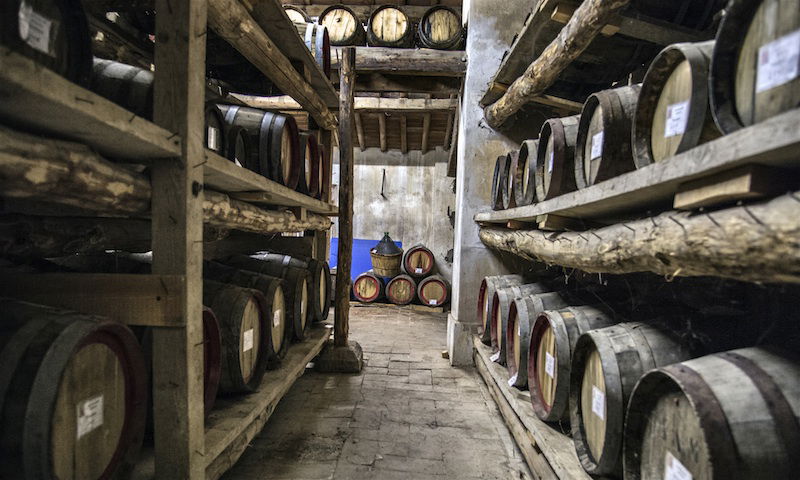 Visiting Vineyards in the Winter & more fun winter tours in Tuscany