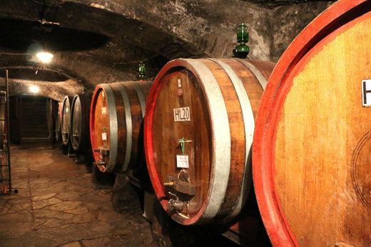 Wine Tasting