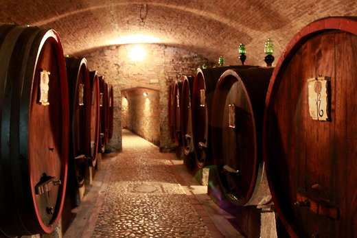 Wine Tasting during Cantine Aperte