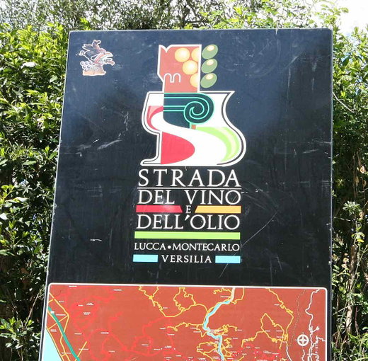 Strada del Vino in & around Lucca