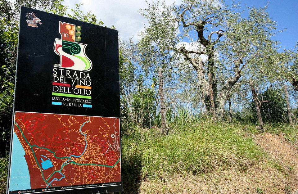Strada del Vino in & around Lucca
