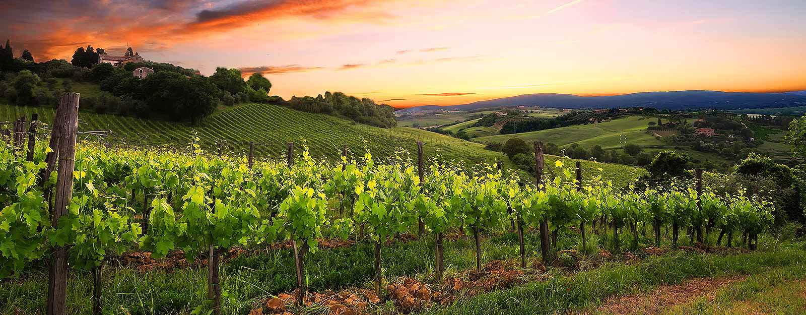 La Lastra in San Gimignano, and their organic vernaccia white wine