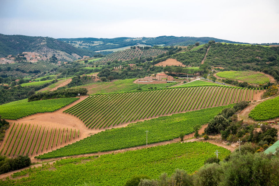 Visit Chianti with our One-Day Driving Itinerary