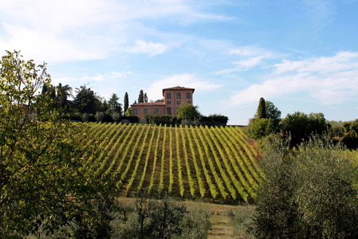 Chianti Towns and Wine Tasting